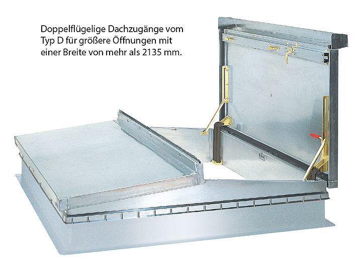 Typ D-50T
