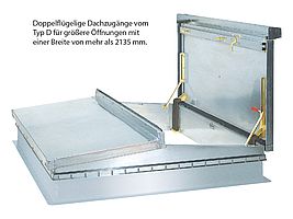 Typ D-50T